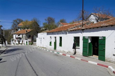 Rue de Ain Draham