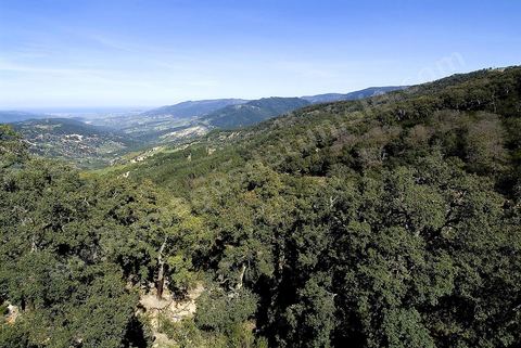 Paysage dans les montagnes de Kroumirie