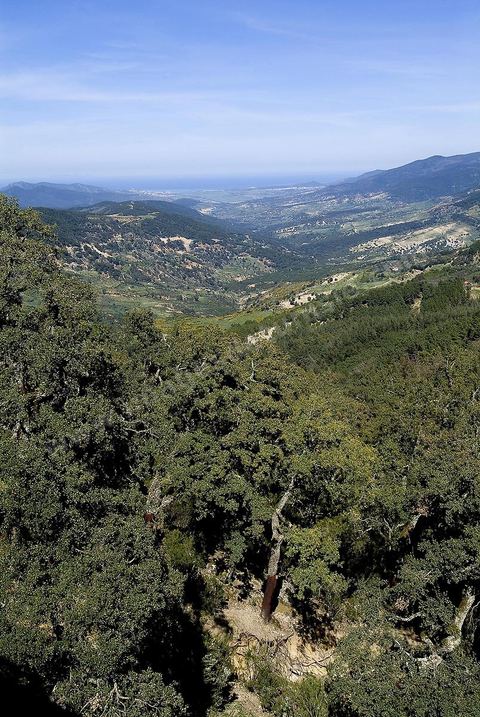 Paysage dans les montagnes de Kroumirie