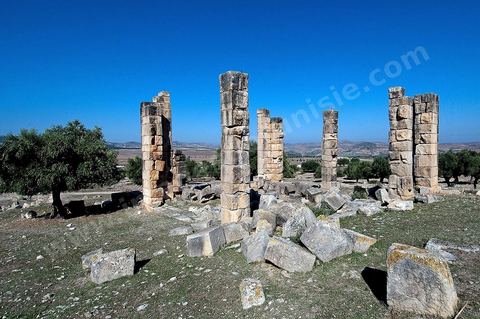 Vestige du grand temple romain de Thignica. Dans le modeste village de Aïn Tounga se trouve le site archéologique antique de l'ancienne Thignica, municipe romain  du début du IIIème siècle.