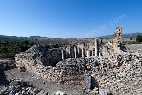 Vestiges des grands thermes de Thignica. Dans le modeste village de Aïn Tounga se trouve le site archéologique antique de l'ancienne Thignica, municipe romain  du début du IIIème siècle.