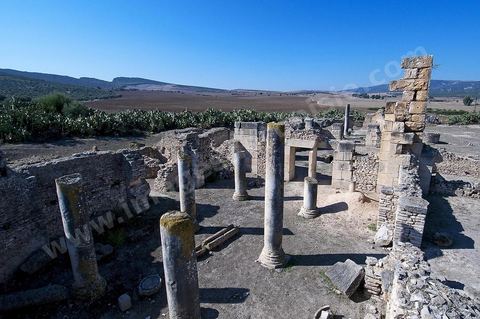 Vestiges des grands thermes de Thignica. Dans le modeste village de Aïn Tounga se trouve le site archéologique antique de l'ancienne Thignica, municipe romain  du début du IIIème siècle.