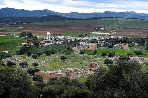 Site archéologique romain et byzantin de Aïn Tounga, anciennement Thignica, se situe à une vingtaine de km de Dougga. il est un des nombreux exemples de grands sites archéologiques en Tunisie qui ne bénéficie d'aucune protection, au milieu d'un village ce site n'est ni cloturé, ni gardé et donc menancé de dégradations et de disparition. 