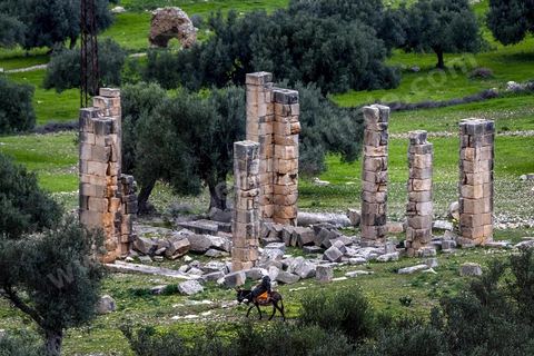 Temple sur le Site archéologique romain et byzantin de Aïn Tounga, anciennement Thignica, se situe à une vingtaine de km de Dougga. il est un des nombreux exemples de grands sites archéologiques en Tunisie qui ne bénéficie d'aucune protection, au milieu d'un village ce site n'est ni cloturé, ni gardé et donc menancé de dégradations et de disparition. 