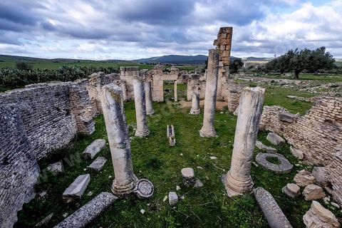 Thermes sur le Site archéologique romain et byzantin de Aïn Tounga, anciennement Thignica, se situe à une vingtaine de km de Dougga. il est un des nombreux exemples de grands sites archéologiques en Tunisie qui ne bénéficie d'aucune protection, au milieu d'un village ce site n'est ni cloturé, ni gardé et donc menancé de dégradations et de disparition. 