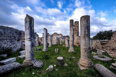 Thermes sur le Site archéologique romain et byzantin de Aïn Tounga, anciennement Thignica, se situe à une vingtaine de km de Dougga. il est un des nombreux exemples de grands sites archéologiques en Tunisie qui ne bénéficie d'aucune protection, au milieu d'un village ce site n'est ni cloturé, ni gardé et donc menancé de dégradations et de disparition. 