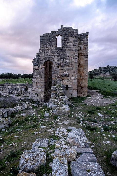 Forteresse byzantine sur le site archéologique romain et byzantin de Aïn Tounga, anciennement Thignica, se situe à une vingtaine de km de Dougga. il est un des nombreux exemples de grands sites archéologiques en Tunisie qui ne bénéficie d'aucune protection, au milieu d'un village ce site n'est ni cloturé, ni gardé et donc menancé de dégradations et de disparition. 