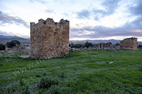 Forteresse byzantine sur le site archéologique romain et byzantin de Aïn Tounga, anciennement Thignica, se situe à une vingtaine de km de Dougga. il est un des nombreux exemples de grands sites archéologiques en Tunisie qui ne bénéficie d'aucune protection, au milieu d'un village ce site n'est ni cloturé, ni gardé et donc menancé de dégradations et de disparition. 