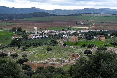 Site archéologique romain et byzantin de Aïn Tounga, anciennement Thignica, se situe à une vingtaine de km de Dougga. il est un des nombreux exemples de grands sites archéologiques en Tunisie qui ne bénéficie d'aucune protection, au milieu d'un village ce site n'est ni cloturé, ni gardé et donc menancé de dégradations et de disparition. 
