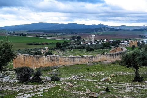 Site archéologique romain et byzantin de Aïn Tounga, anciennement Thignica, se situe à une vingtaine de km de Dougga. il est un des nombreux exemples de grands sites archéologiques en Tunisie qui ne bénéficie d'aucune protection, au milieu d'un village ce site n'est ni cloturé, ni gardé et donc menancé de dégradations et de disparition. 