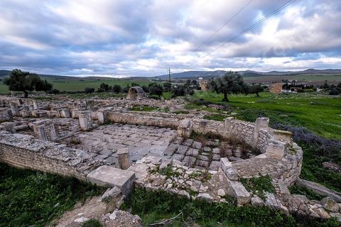 Site archéologique romain et byzantin de Aïn Tounga, anciennement Thignica, se situe à une vingtaine de km de Dougga. il est un des nombreux exemples de grands sites archéologiques en Tunisie qui ne bénéficie d'aucune protection, au milieu d'un village ce site n'est ni cloturé, ni gardé et donc menancé de dégradations et de disparition. 