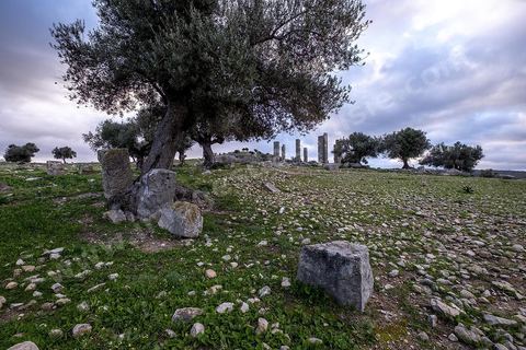 Site archéologique romain et byzantin de Aïn Tounga, anciennement Thignica, se situe à une vingtaine de km de Dougga. il est un des nombreux exemples de grands sites archéologiques en Tunisie qui ne bénéficie d'aucune protection, au milieu d'un village ce site n'est ni cloturé, ni gardé et donc menancé de dégradations et de disparition. 