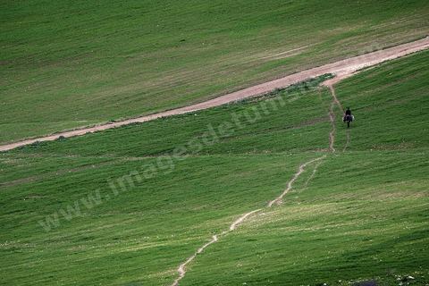 Site archéologique romain et byzantin de Aïn Tounga, anciennement Thignica, se situe à une vingtaine de km de Dougga. il est un des nombreux exemples de grands sites archéologiques en Tunisie qui ne bénéficie d'aucune protection, au milieu d'un village ce site n'est ni cloturé, ni gardé et donc menancé de dégradations et de disparition. 