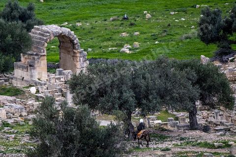 Site archéologique romain et byzantin de Aïn Tounga, anciennement Thignica, se situe à une vingtaine de km de Dougga. il est un des nombreux exemples de grands sites archéologiques en Tunisie qui ne bénéficie d'aucune protection, au milieu d'un village ce site n'est ni cloturé, ni gardé et donc menancé de dégradations et de disparition. 
