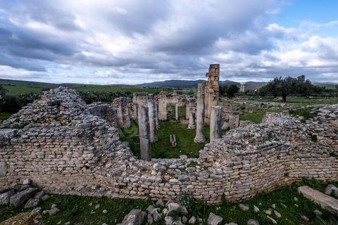 Site archéologique romain et byzantin de Aïn Tounga, anciennement Thignica, se situe à une vingtaine de km de Dougga. il est un des nombreux exemples de grands sites archéologiques en Tunisie qui ne bénéficie d'aucune protection, au milieu d'un village ce site n'est ni cloturé, ni gardé et donc menancé de dégradations et de disparition. 