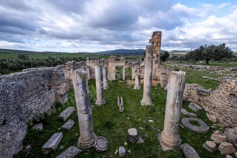Site archéologique romain et byzantin de Aïn Tounga, anciennement Thignica, se situe à une vingtaine de km de Dougga. il est un des nombreux exemples de grands sites archéologiques en Tunisie qui ne bénéficie d'aucune protection, au milieu d'un village ce site n'est ni cloturé, ni gardé et donc menancé de dégradations et de disparition. 
