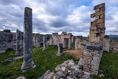 Site archéologique romain et byzantin de Aïn Tounga, anciennement Thignica, se situe à une vingtaine de km de Dougga. il est un des nombreux exemples de grands sites archéologiques en Tunisie qui ne bénéficie d'aucune protection, au milieu d'un village ce site n'est ni cloturé, ni gardé et donc menancé de dégradations et de disparition. 