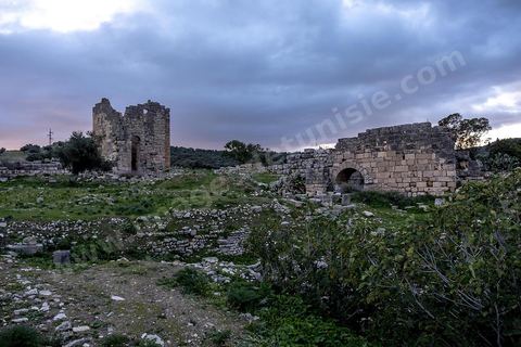 Forteresse byzantine sur le site archéologique romain et byzantin de Aïn Tounga, anciennement Thignica, se situe à une vingtaine de km de Dougga. il est un des nombreux exemples de grands sites archéologiques en Tunisie qui ne bénéficie d'aucune protection, au milieu d'un village ce site n'est ni cloturé, ni gardé et donc menancé de dégradations et de disparition. 