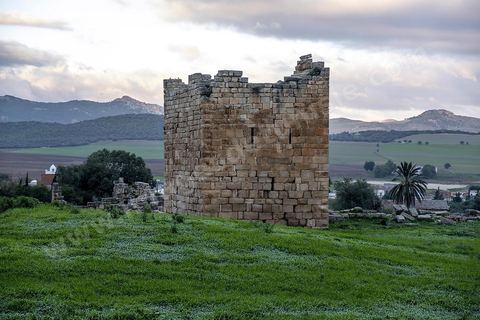 Forteresse byzantine sur le site archéologique romain et byzantin de Aïn Tounga, anciennement Thignica, se situe à une vingtaine de km de Dougga. il est un des nombreux exemples de grands sites archéologiques en Tunisie qui ne bénéficie d'aucune protection, au milieu d'un village ce site n'est ni cloturé, ni gardé et donc menancé de dégradations et de disparition. 