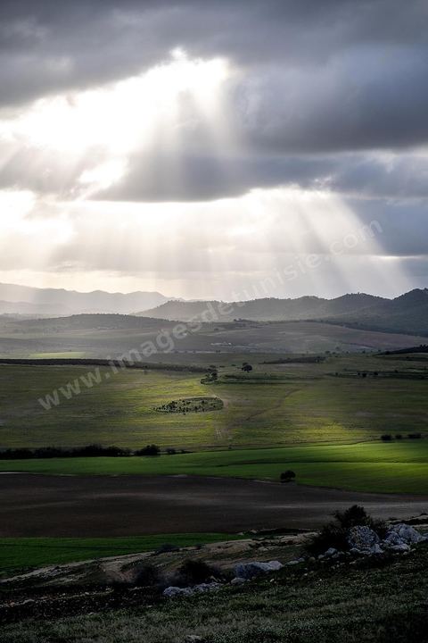 Site archéologique romain et byzantin de Aïn Tounga, anciennement Thignica, se situe à une vingtaine de km de Dougga. il est un des nombreux exemples de grands sites archéologiques en Tunisie qui ne bénéficie d'aucune protection, au milieu d'un village ce site n'est ni cloturé, ni gardé et donc menancé de dégradations et de disparition. 