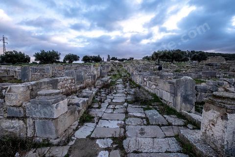 Site archéologique romain et byzantin de Aïn Tounga, anciennement Thignica, se situe à une vingtaine de km de Dougga. il est un des nombreux exemples de grands sites archéologiques en Tunisie qui ne bénéficie d'aucune protection, au milieu d'un village ce site n'est ni cloturé, ni gardé et donc menancé de dégradations et de disparition. 