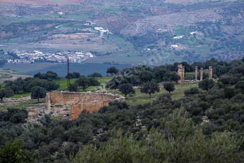 Site archéologique romain et byzantin de Aïn Tounga, anciennement Thignica, se situe à une vingtaine de km de Dougga. il est un des nombreux exemples de grands sites archéologiques en Tunisie qui ne bénéficie d'aucune protection, au milieu d'un village ce site n'est ni cloturé, ni gardé et donc menancé de dégradations et de disparition. 