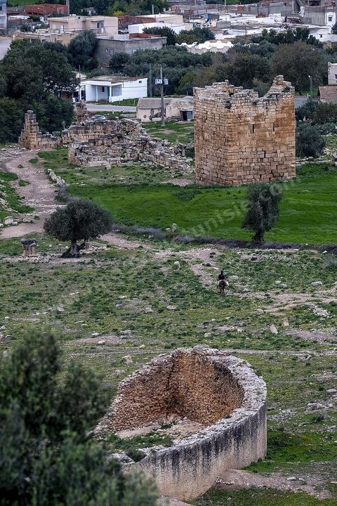 Site archéologique romain et byzantin de Aïn Tounga, anciennement Thignica, se situe à une vingtaine de km de Dougga. il est un des nombreux exemples de grands sites archéologiques en Tunisie qui ne bénéficie d'aucune protection, au milieu d'un village ce site n'est ni cloturé, ni gardé et donc menancé de dégradations et de disparition. 