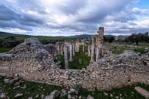 Site archéologique romain et byzantin de Aïn Tounga, anciennement Thignica, se situe à une vingtaine de km de Dougga. il est un des nombreux exemples de grands sites archéologiques en Tunisie qui ne bénéficie d'aucune protection, au milieu d'un village ce site n'est ni cloturé, ni gardé et donc menancé de dégradations et de disparition. 
