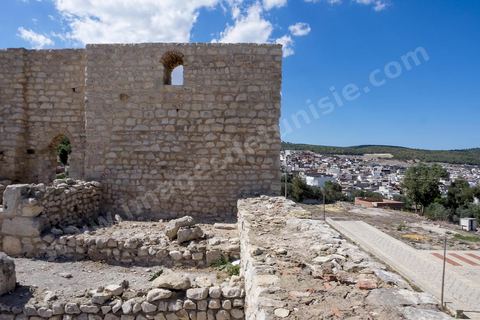 La Kasbah de Béja