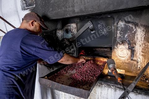 Béja
