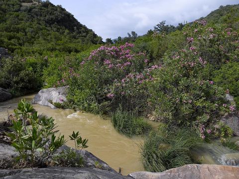 Beni M'Tir en Kroumirie