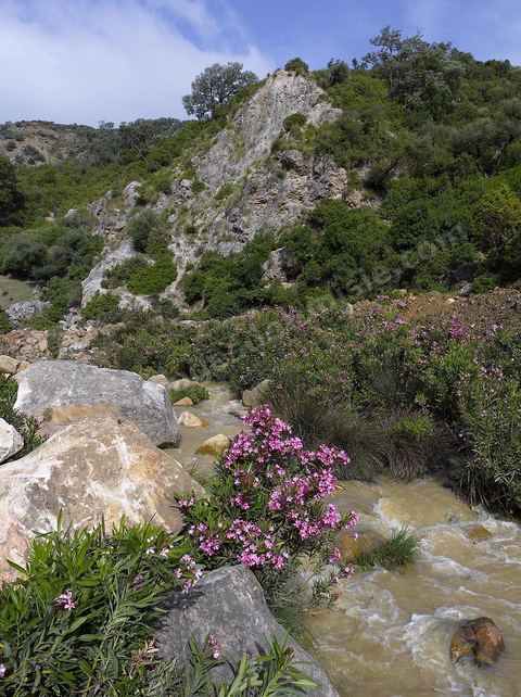 Beni M'Tir en Kroumirie