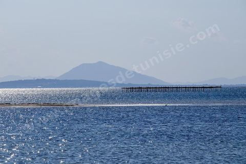 Lac de Bizerte