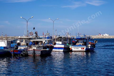 Portd e Zarzouna à Bizerte