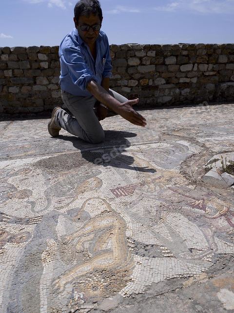 quartier d'habitations et villas souterraines romaines Site archéologique de Bulla Regia 