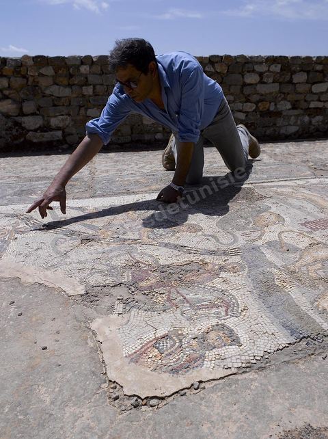 quartier d'habitations et villas souterraines romaines Site archéologique de Bulla Regia 