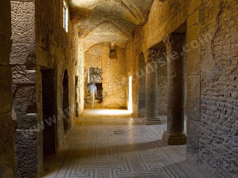 Sous sol et pavement mosaiques de la maison d'Amphitrite sur le Site archéologique de Bulla Regia 