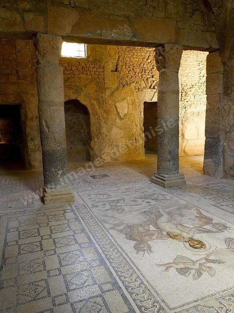 Sous sol et pavement mosaiques de la maison d'Amphitrite sur le Site archéologique de Bulla Regia 