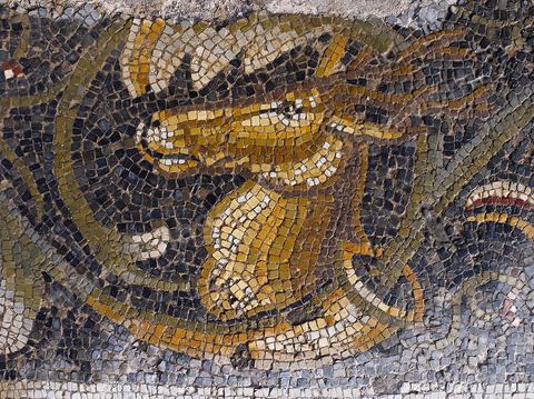 Mosaiques de la Maison de la Chasse sur le Site archéologique de Bulla Regia 