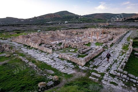 le quartier d'habitations sur le site archéologique romain de Bulla Régia, dans le nord ouest de la Tunisie.