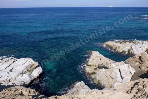 Port et falaises de Cap Zebib