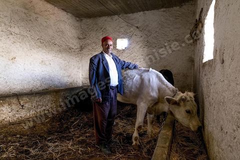 Avec Mustapha el Chaouachi, éléeveur et paysan, sur les hauteurs de Chaouach. Le village de Chaouach sur les hauteurs de Medjez El Bab. 