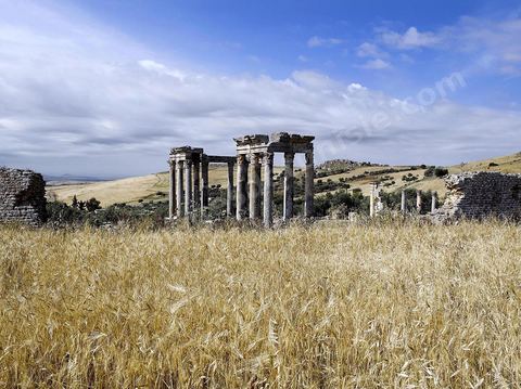 Site archéologique romain de Dougga classé patrimoine de l'Unesco