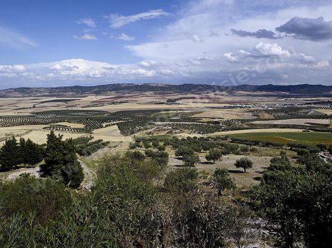 Site archéologique romain de Dougga classé patrimoine de l'Unesco