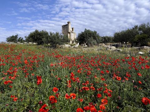 Site archéologique romain de Dougga classé patrimoine de l'Unesco