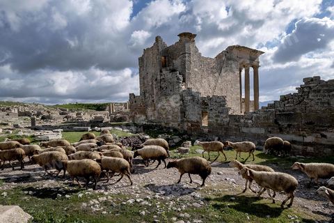 Capitole de Dougga et son majestueux temple. Le site de Dougga, classé au patrimoine mondial de l'UNESCO, Situé sur un éperon dominant la riche vallée de la Mejerdah, le site s'étend sur plusieurs dizaines d'hectares et couvre plusieurs ères historiques. L’excellent état de conservation de la plupart des monuments qui le composent dont certains, tels le capitole ou le théâtre, ont été « remis sur pied » au cours d’une campagne menée au lendemain de la première guerre mondiale par des prisonniers de guerre.