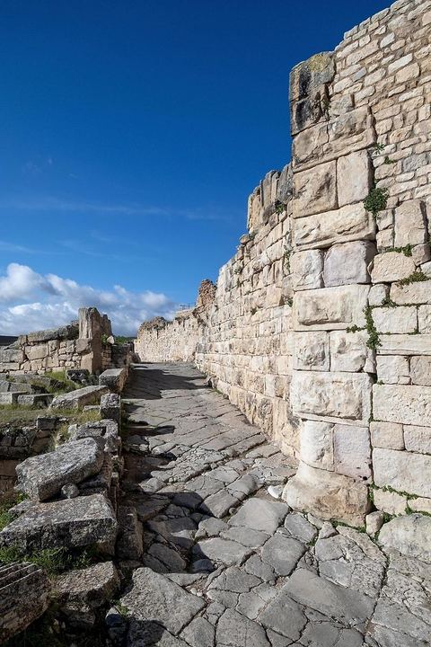Une des majestueuses rues dallées de Dougga. Le site de Dougga, classé au patrimoine mondial de l'UNESCO, Situé sur un éperon dominant la riche vallée de la Mejerdah, le site s'étend sur plusieurs dizaines d'hectares et couvre plusieurs ères historiques. L’excellent état de conservation de la plupart des monuments qui le composent dont certains, tels le capitole ou le théâtre, ont été « remis sur pied » au cours d’une campagne menée au lendemain de la première guerre mondiale par des prisonniers de guerre.