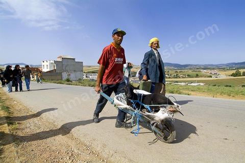 Chemin reliant le marché et la ville de Fernana, les jeunes offrent leurs aides pour transporter les courses et divers achats entre ces deux points distants.