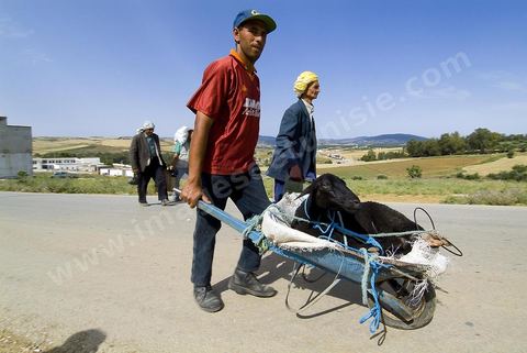 Chemin reliant le marché et la ville de Fernana, les jeunes offrent leurs aides pour transporter les courses et divers achats entre ces deux points distants.