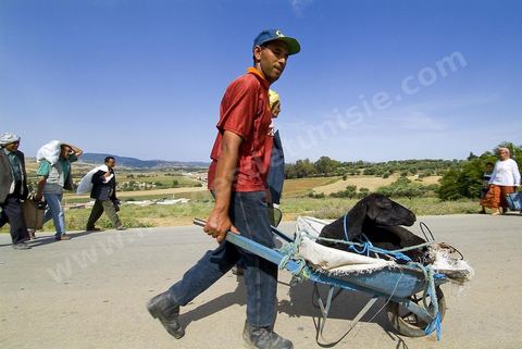 Chemin reliant le marché et la ville de Fernana, les jeunes offrent leurs aides pour transporter les courses et divers achats entre ces deux points distants.